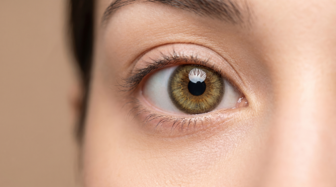 Hazel colored contact lens close-up on a dark brown eye