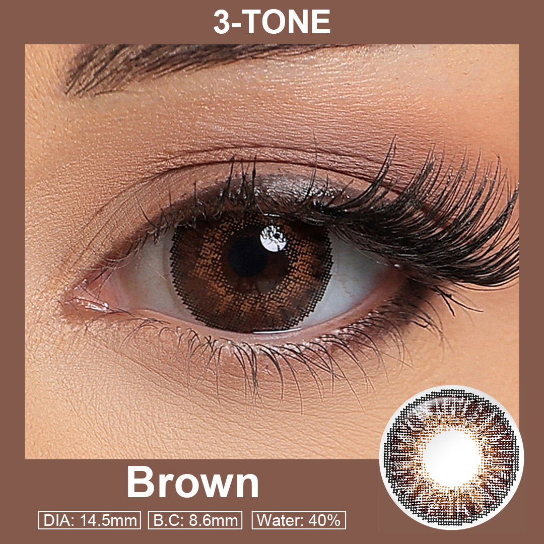 3-Tone Brown (Yearly)