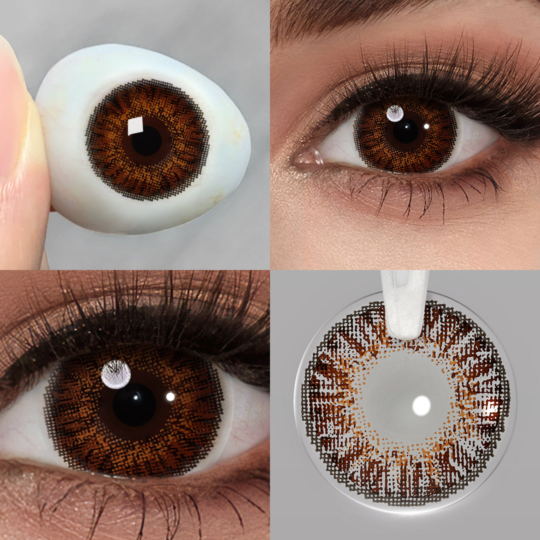 3-Tone Brown (Yearly)